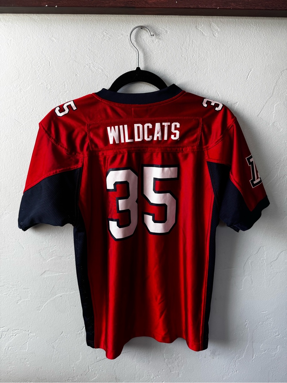 Wildcats - Picture 2 of 3